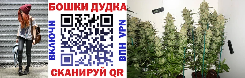 Где найти наркотики Ковров Каннабис Меф мяу мяу ГАШ