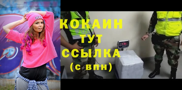 apvp Вяземский