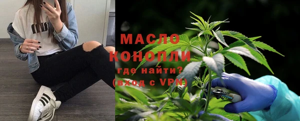 apvp Вяземский