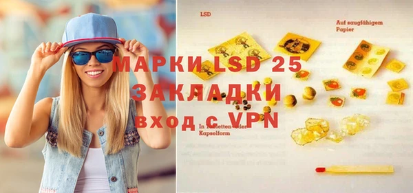apvp Вяземский