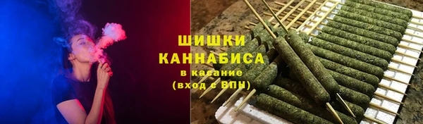 apvp Вяземский