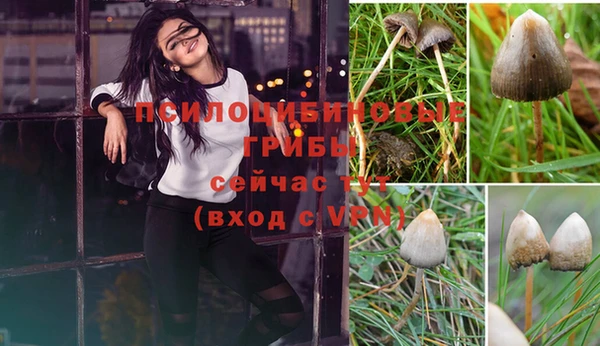 MESCALINE Вязники