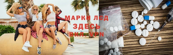 apvp Вяземский