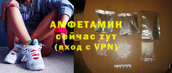 apvp Вяземский